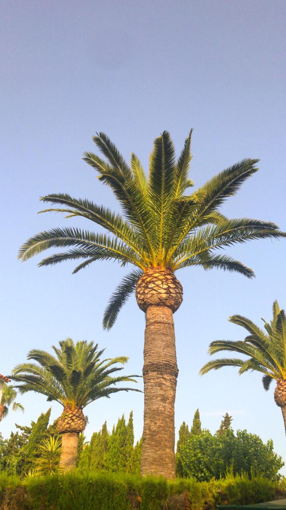Denia El Palmar 183 Villa Dış mekan fotoğraf